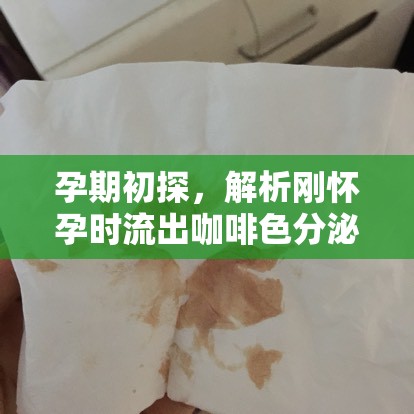 孕期初探，解析剛懷孕時(shí)流出咖啡色分泌物的疑惑