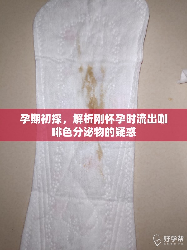 孕期初探，解析剛懷孕時(shí)流出咖啡色分泌物的疑惑