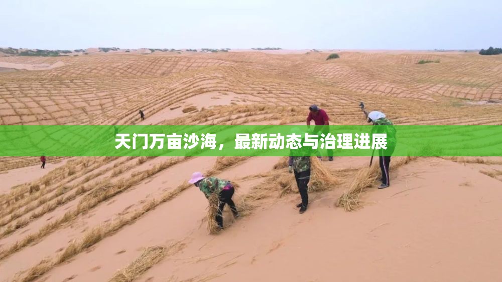 天門萬畝沙海，最新動(dòng)態(tài)與治理進(jìn)展