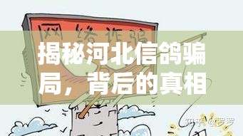 揭秘河北信鴿騙局，背后的真相與警示