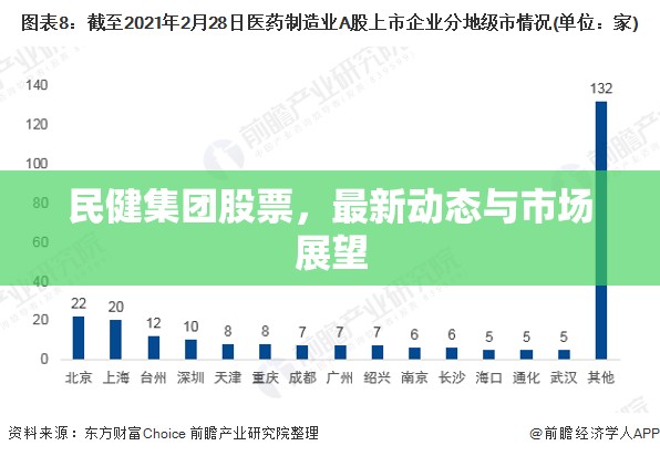 民健集團(tuán)股票，最新動(dòng)態(tài)與市場(chǎng)展望
