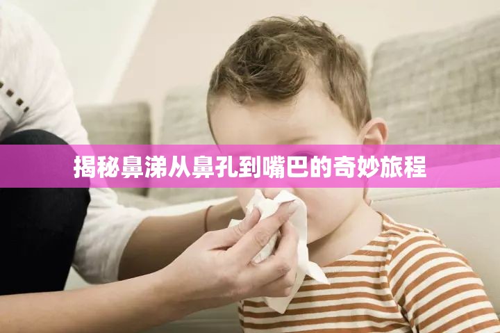 揭秘鼻涕從鼻孔到嘴巴的奇妙旅程