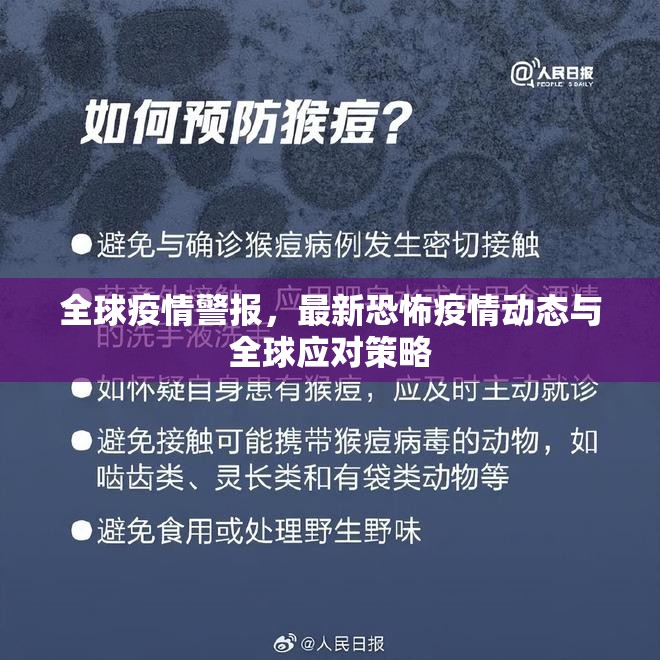 全球疫情警報(bào)，最新恐怖疫情動(dòng)態(tài)與全球應(yīng)對策略