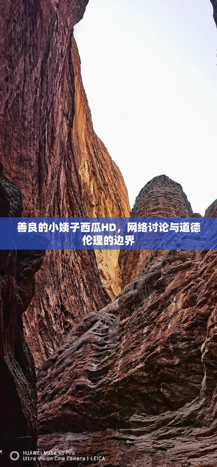 善良的小姨子西瓜HD，網(wǎng)絡(luò)討論與道德倫理的邊界