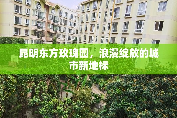 昆明東方玫瑰園，浪漫綻放的城市新地標