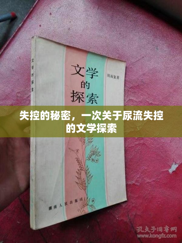 失控的秘密，一次關于尿流失控的文學探索