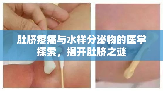 肚臍疼痛與水樣分泌物的醫(yī)學(xué)探索，揭開肚臍之謎