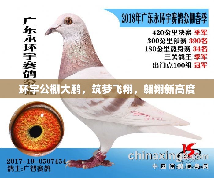 環(huán)宇公棚大鵬，筑夢(mèng)飛翔，翱翔新高度