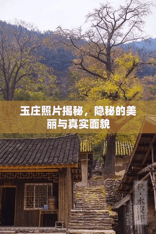 玉莊照片揭秘，隱秘的美麗與真實面貌