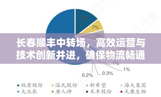 長(zhǎng)春順豐中轉(zhuǎn)場(chǎng)，高效運(yùn)營(yíng)與技術(shù)創(chuàng)新并進(jìn)，確保物流暢通無(wú)阻