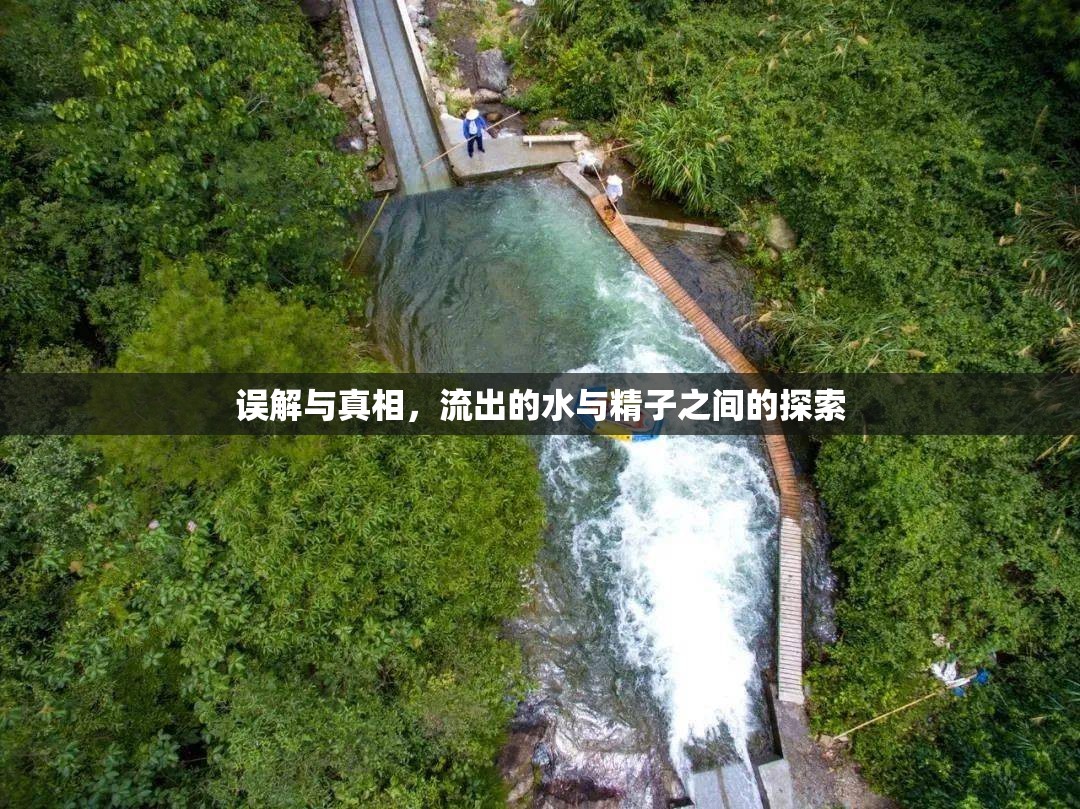 誤解與真相，流出的水與精子之間的探索