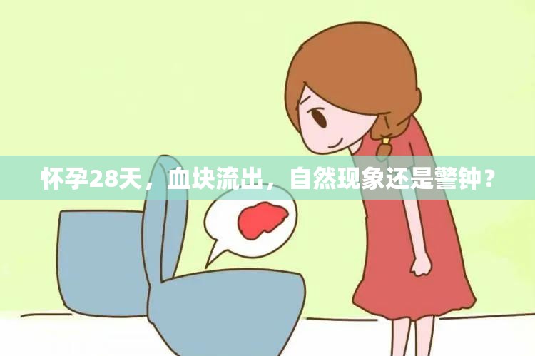 懷孕28天，血塊流出，自然現(xiàn)象還是警鐘？