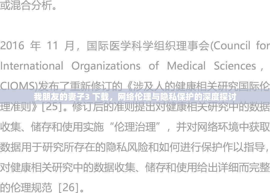 我朋友的妻子3 下載，網(wǎng)絡(luò)倫理與隱私保護(hù)的深度探討