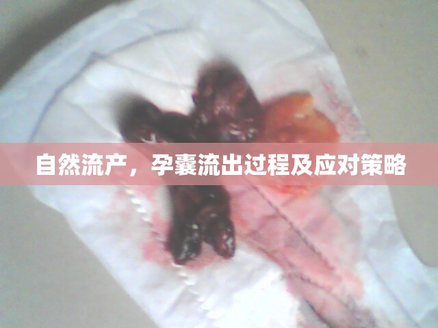 自然流產，孕囊流出過程及應對策略