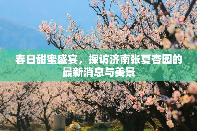 春日甜蜜盛宴，探訪濟(jì)南張夏杏園的最新消息與美景