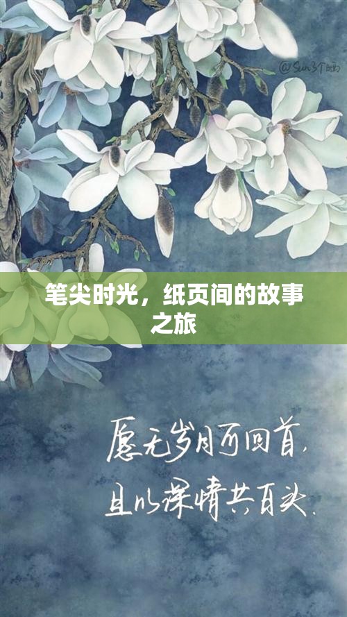 筆尖時(shí)光，紙頁間的故事之旅