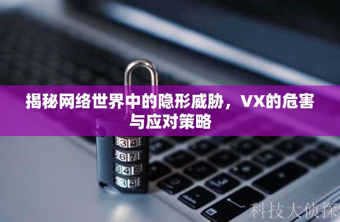 揭秘網(wǎng)絡世界中的隱形威脅，VX的危害與應對策略