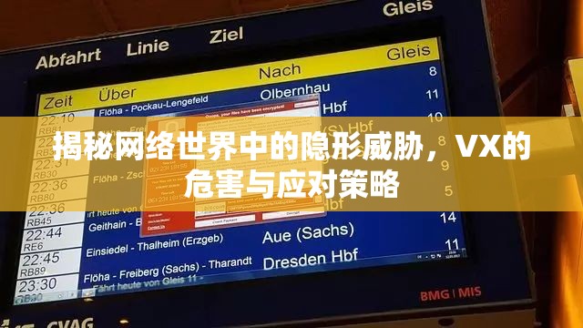 揭秘網(wǎng)絡世界中的隱形威脅，VX的危害與應對策略