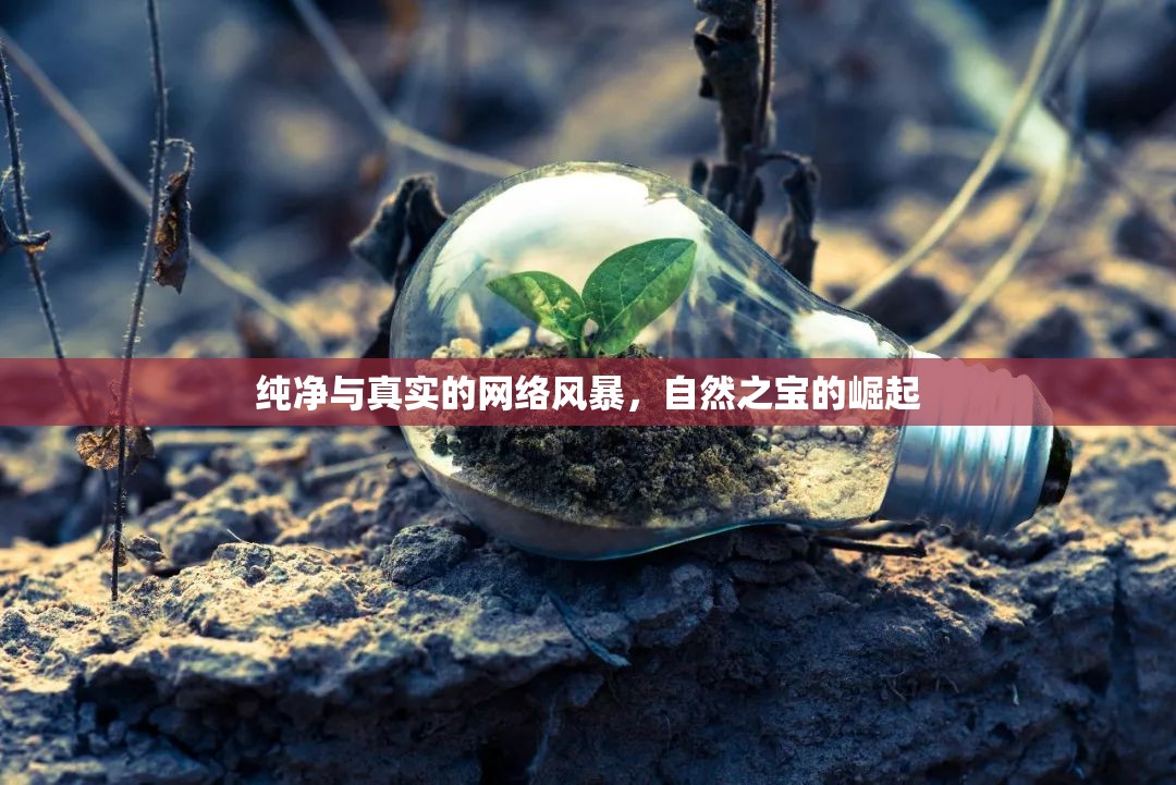 純凈與真實的網(wǎng)絡(luò)風(fēng)暴，自然之寶的崛起