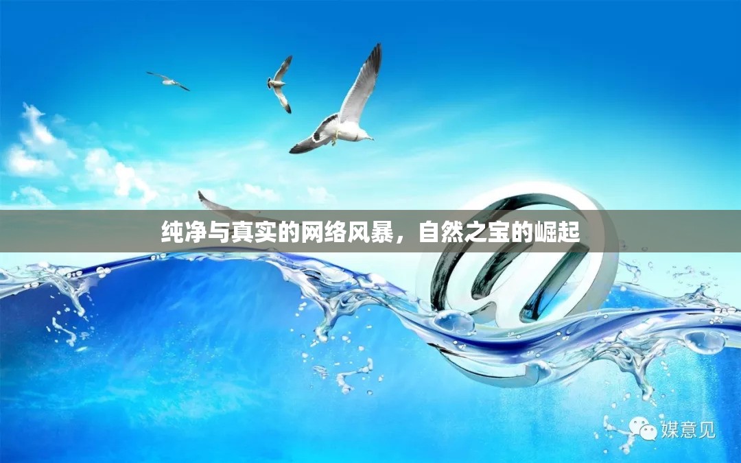 純凈與真實的網(wǎng)絡(luò)風(fēng)暴，自然之寶的崛起