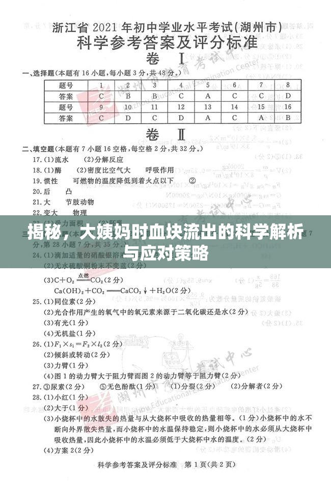 揭秘，大姨媽時(shí)血塊流出的科學(xué)解析與應(yīng)對(duì)策略
