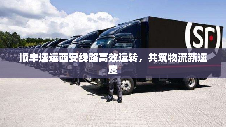 順豐速運(yùn)西安線路高效運(yùn)轉(zhuǎn)，共筑物流新速度