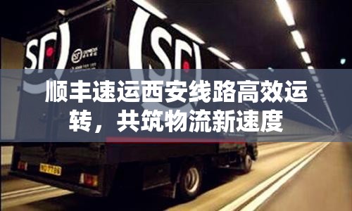 順豐速運(yùn)西安線路高效運(yùn)轉(zhuǎn)，共筑物流新速度