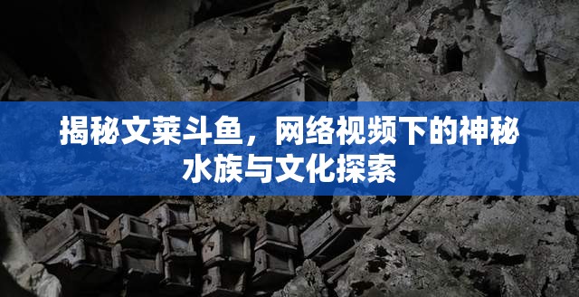 揭秘文萊斗魚，網(wǎng)絡(luò)視頻下的神秘水族與文化探索