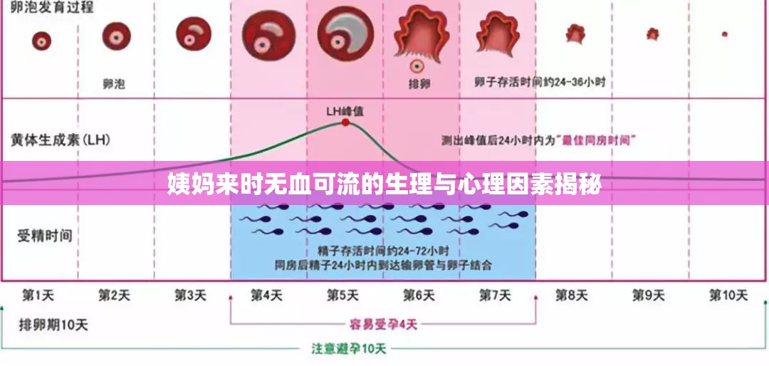 姨媽來時(shí)無血可流的生理與心理因素揭秘