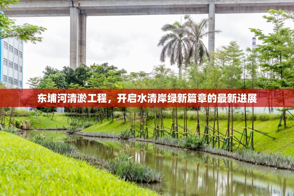 東埔河清淤工程，開啟水清岸綠新篇章的最新進展