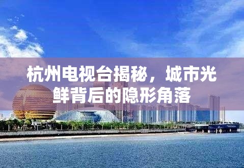 杭州電視臺(tái)揭秘，城市光鮮背后的隱形角落