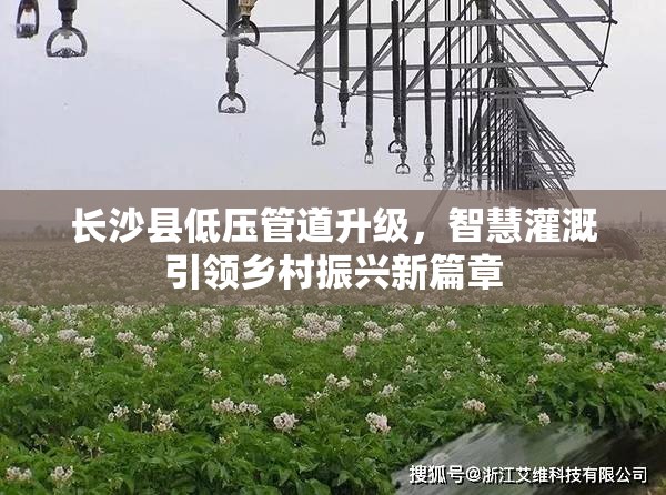 長(zhǎng)沙縣低壓管道升級(jí)，智慧灌溉引領(lǐng)鄉(xiāng)村振興新篇章