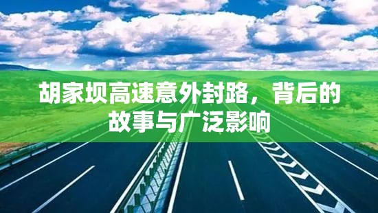 胡家壩高速意外封路，背后的故事與廣泛影響