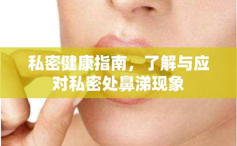 私密健康指南，了解與應對私密處鼻涕現(xiàn)象