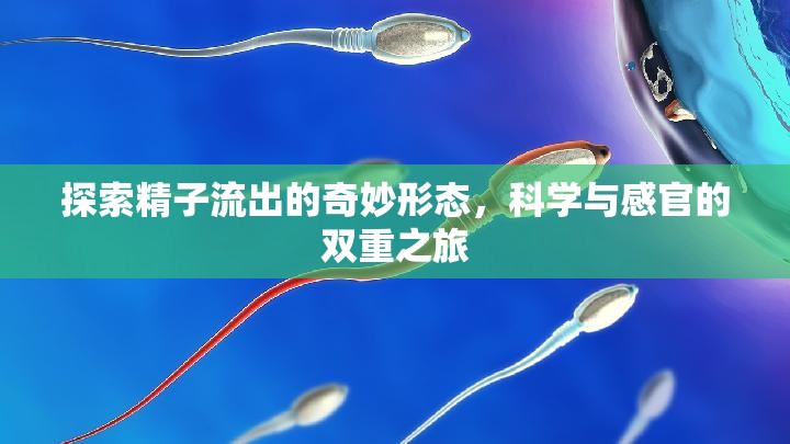 探索精子流出的奇妙形態(tài)，科學(xué)與感官的雙重之旅
