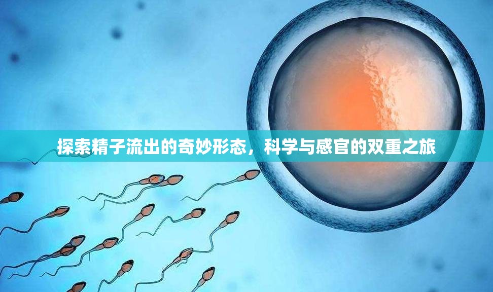探索精子流出的奇妙形態(tài)，科學(xué)與感官的雙重之旅