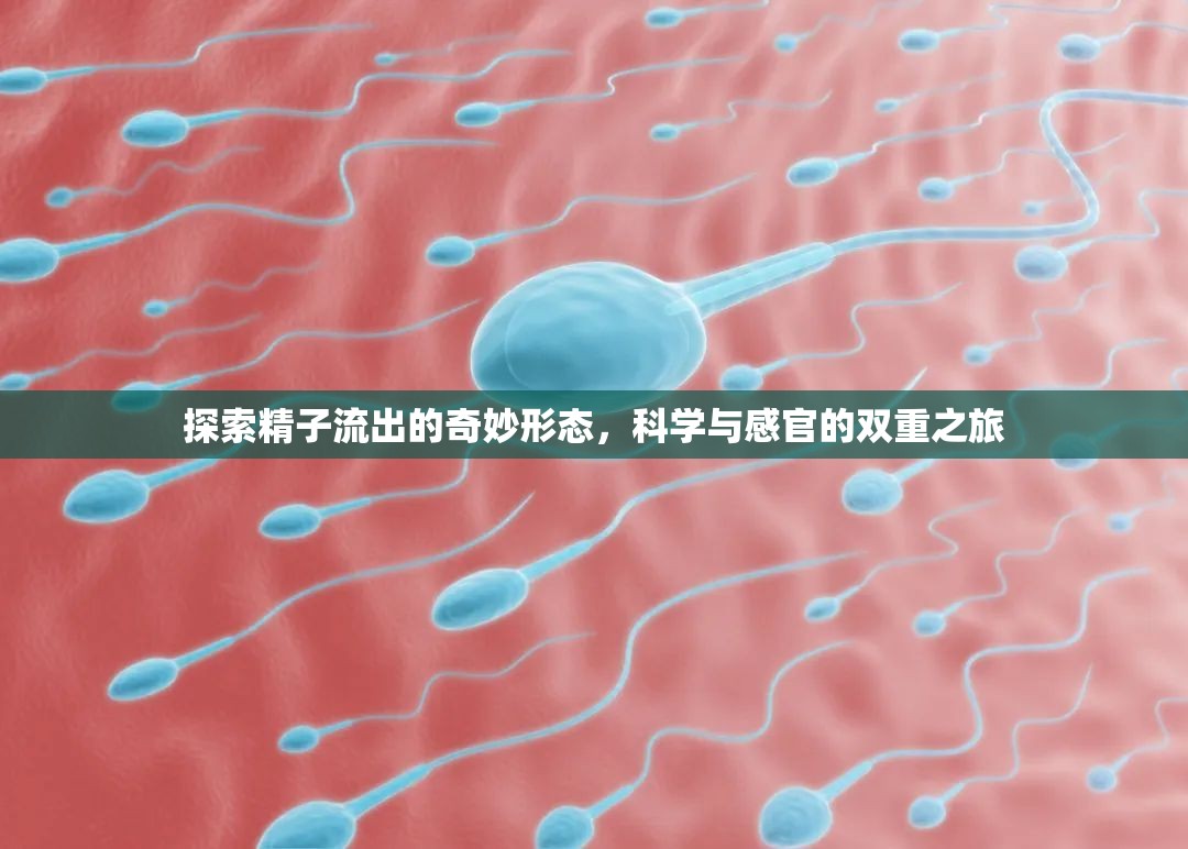 探索精子流出的奇妙形態(tài)，科學(xué)與感官的雙重之旅