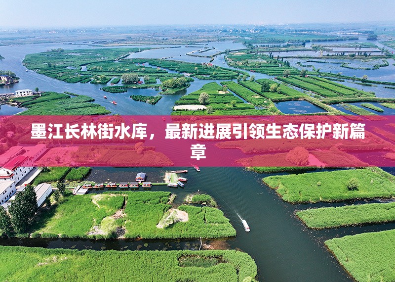 墨江長(zhǎng)林街水庫(kù)，最新進(jìn)展引領(lǐng)生態(tài)保護(hù)新篇章