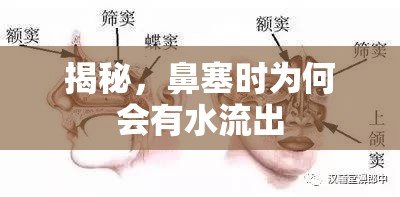 揭秘，鼻塞時(shí)為何會有水流出