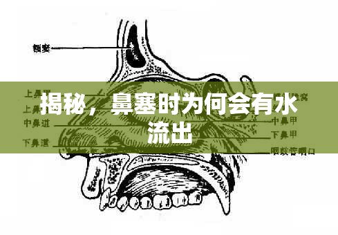 揭秘，鼻塞時(shí)為何會有水流出