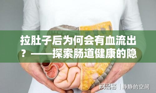 拉肚子后為何會有血流出？——探索腸道健康的隱秘面紗