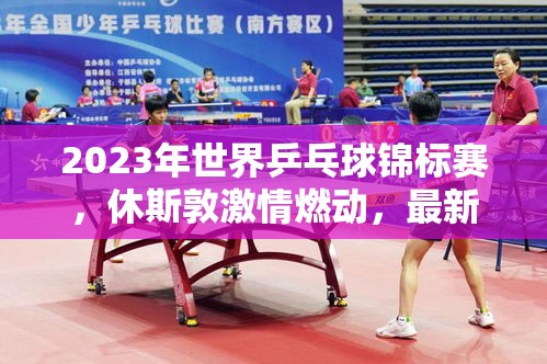 2023年世界乒乓球錦標(biāo)賽，休斯敦激情燃動(dòng)，最新戰(zhàn)況與未來展望