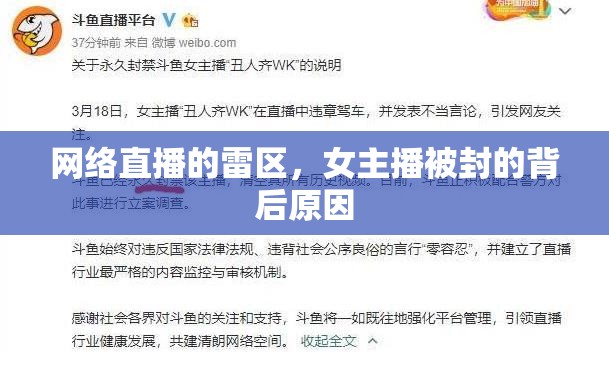 網(wǎng)絡(luò)直播的雷區(qū)，女主播被封的背后原因