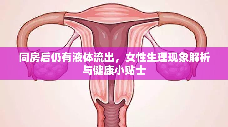 同房后仍有液體流出，女性生理現(xiàn)象解析與健康小貼士