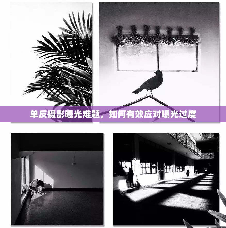 單反攝影曝光難題，如何有效應(yīng)對曝光過度