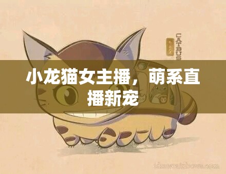 小龍貓女主播，萌系直播新寵