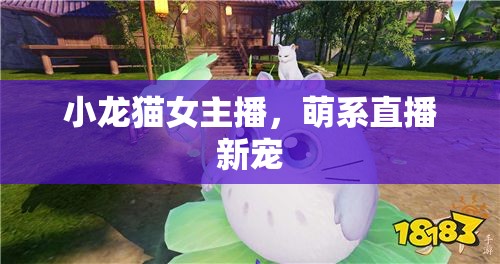 小龍貓女主播，萌系直播新寵
