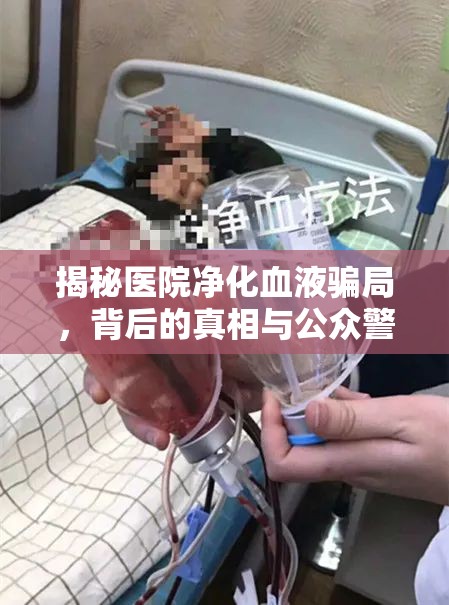 揭秘醫(yī)院凈化血液騙局，背后的真相與公眾警示