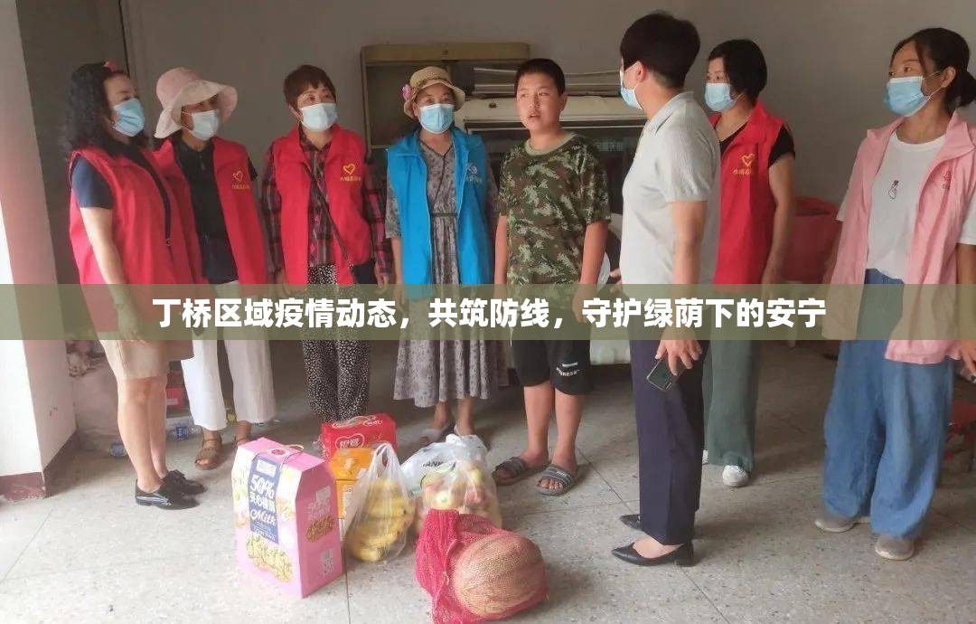 丁橋區(qū)域疫情動態(tài)，共筑防線，守護綠蔭下的安寧