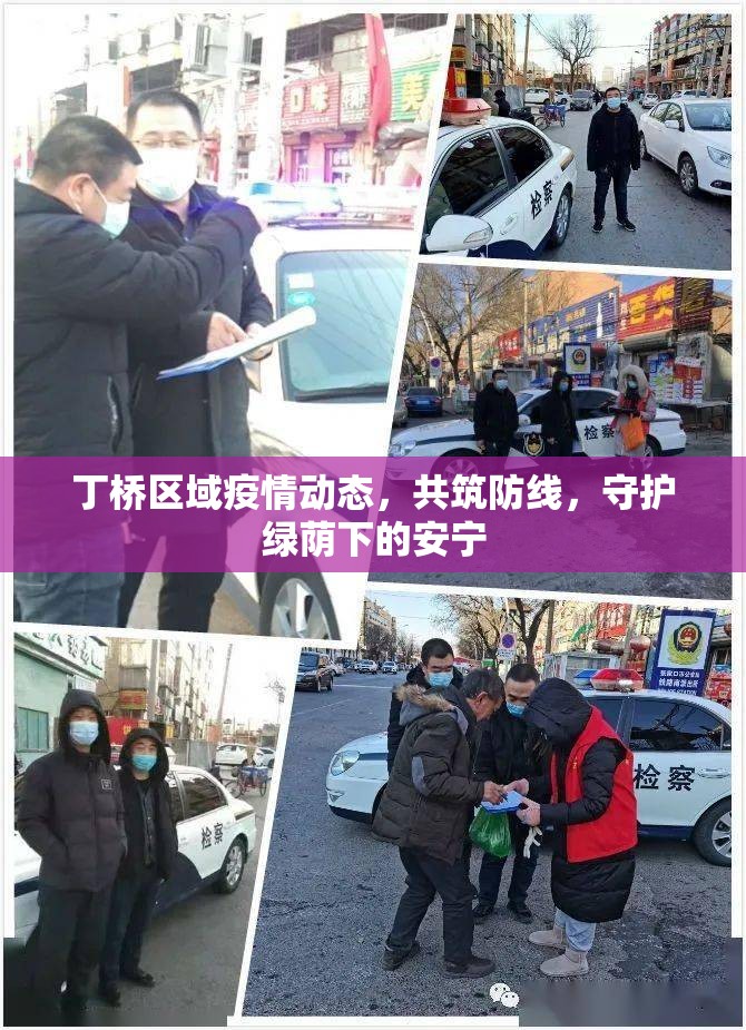 丁橋區(qū)域疫情動態(tài)，共筑防線，守護綠蔭下的安寧